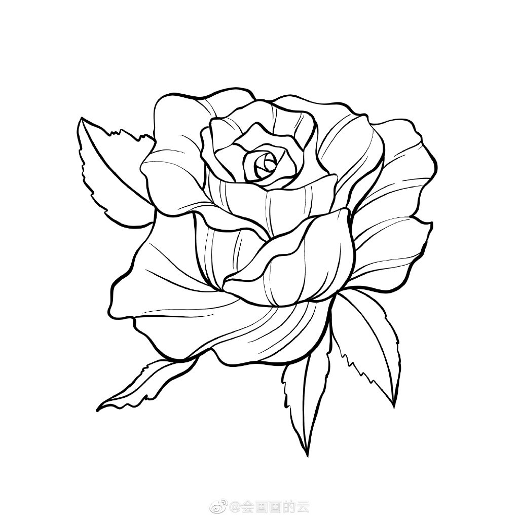 一学就会的简笔画 玫瑰花简笔画画法步骤