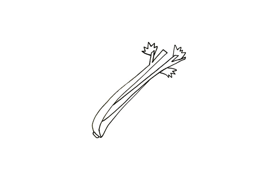 蔬菜简笔画大全 芹菜简笔画怎么画