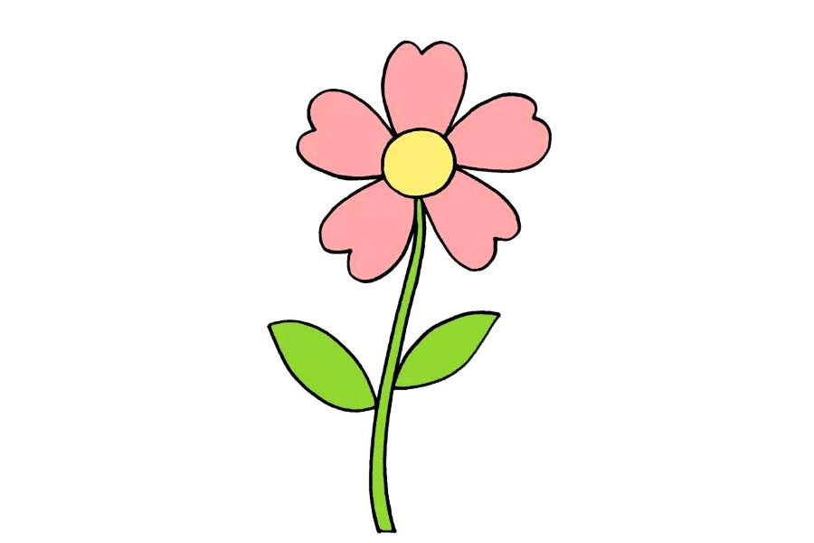 简单的五瓣花怎么画