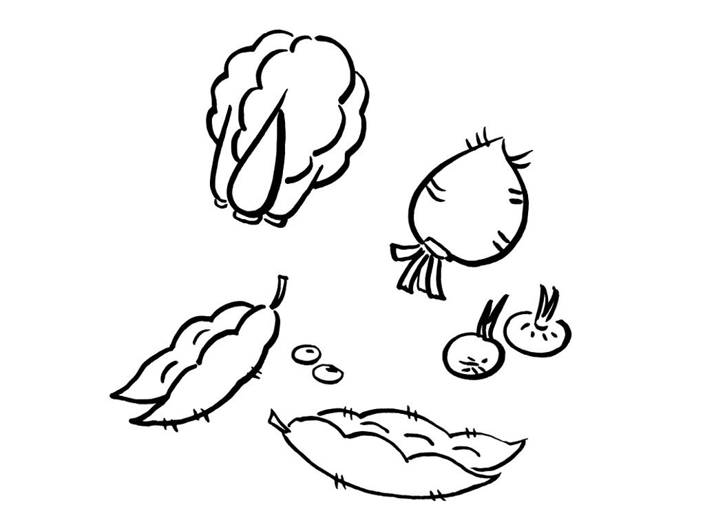 简单蔬菜简笔画图片大全