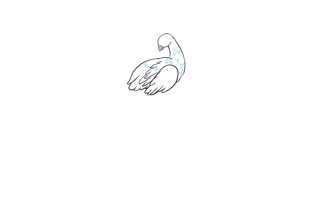 孔雀怎么画