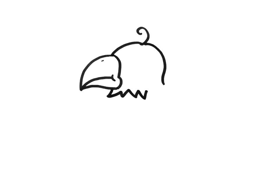 鹦鹉的画法步骤