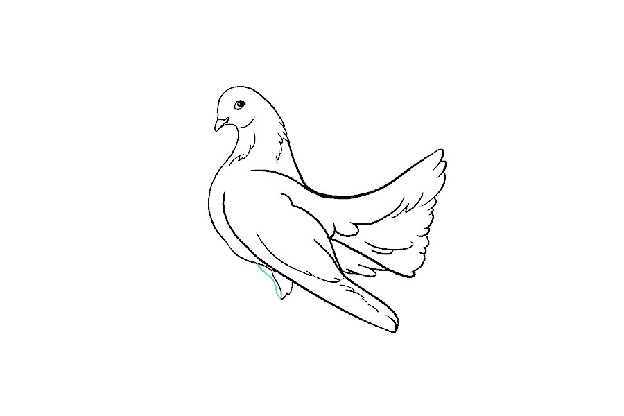 鸽子怎么画
