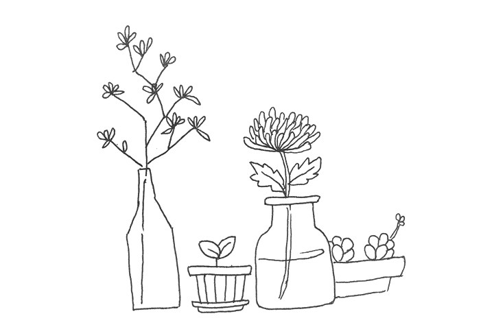 一组漂亮的植物简笔画图片