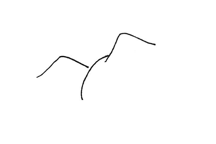 海鸥简笔画画法步骤