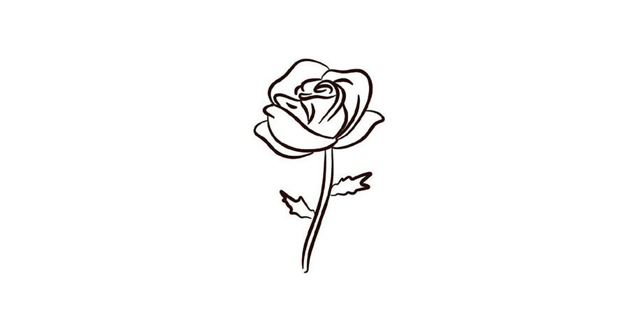玫瑰花简笔画画法步骤