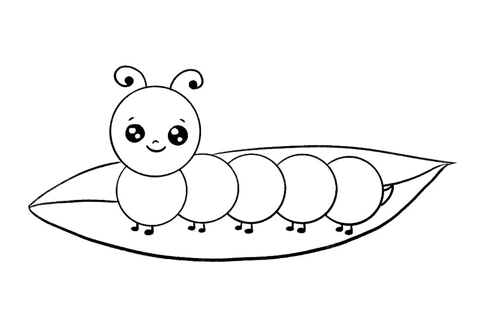 如何画可爱的毛毛虫