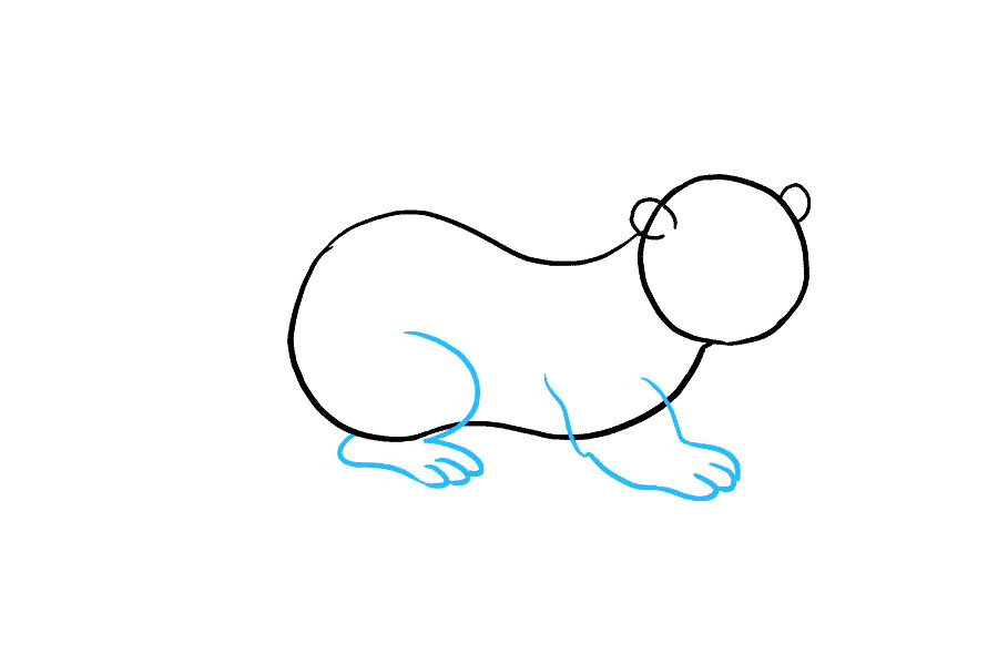 如何画水獭