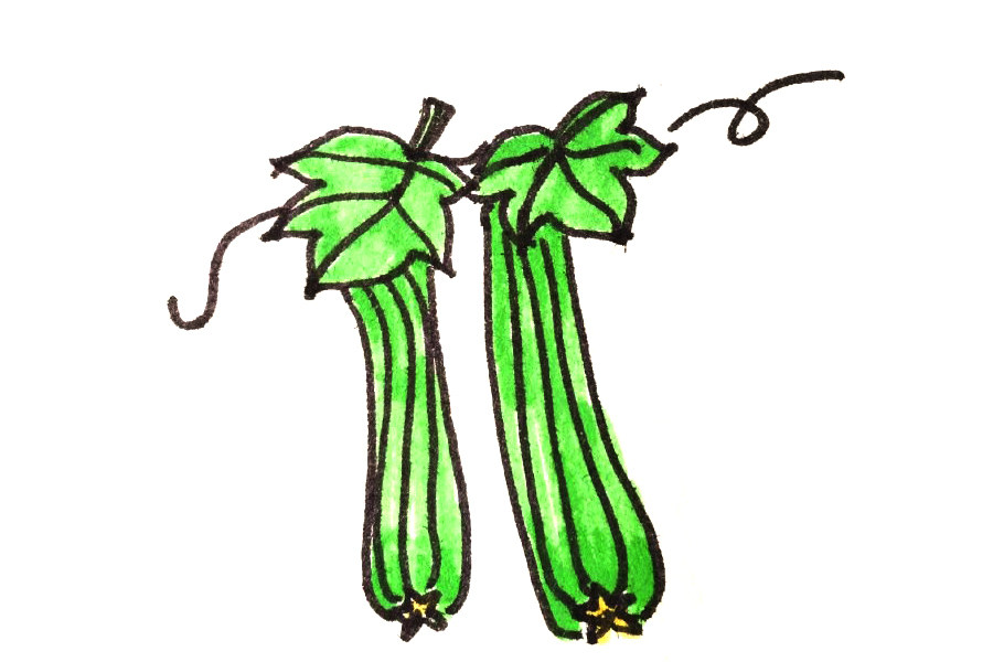 一组漂亮的蔬菜简笔画图片