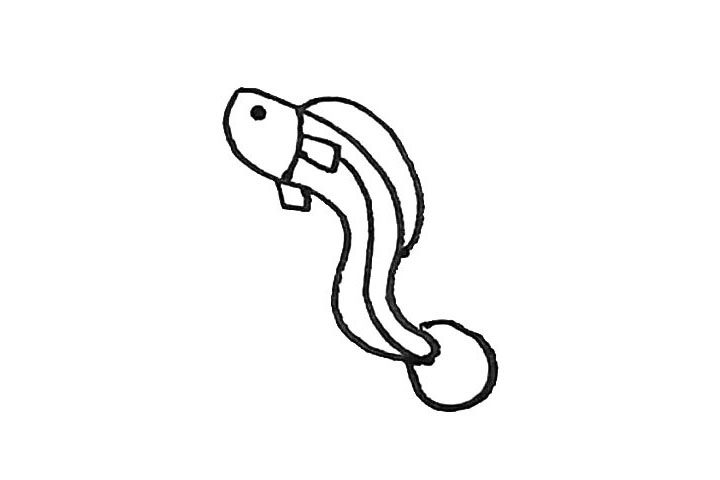 鳗鱼简笔画画法步骤