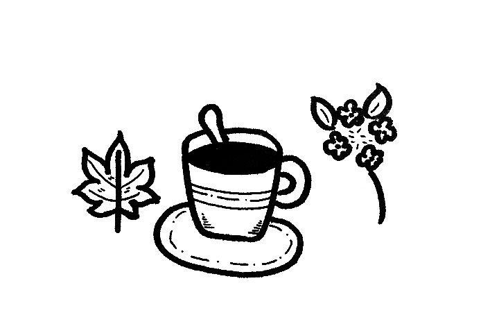 秋天的第一杯奶茶简笔画图片