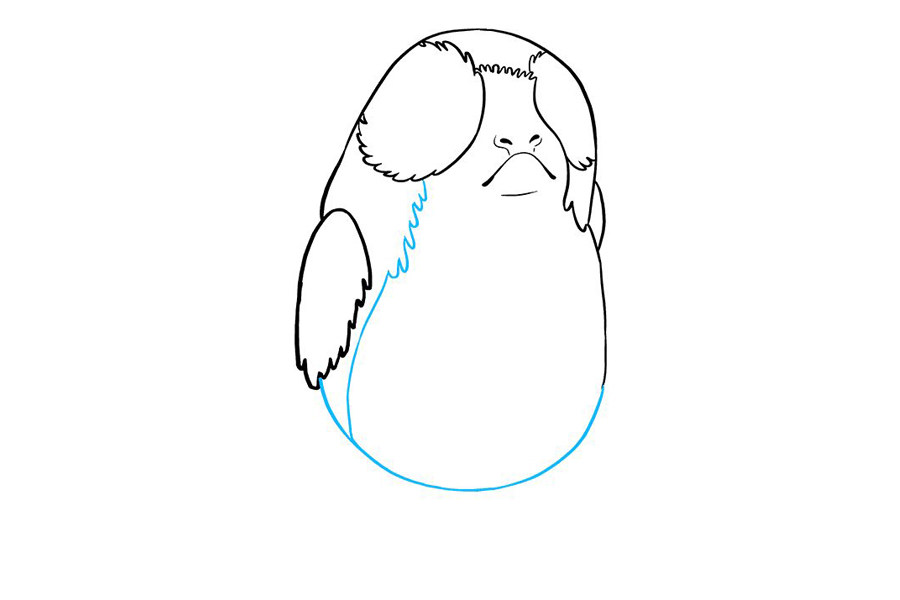 星球大战波格鸟简笔画步骤