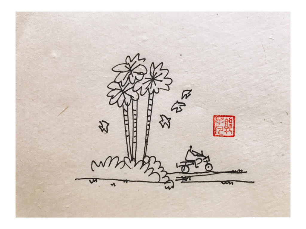 一组春天风景简笔画图片