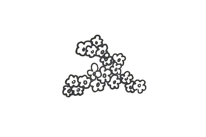 杜鹃花盆栽简笔画