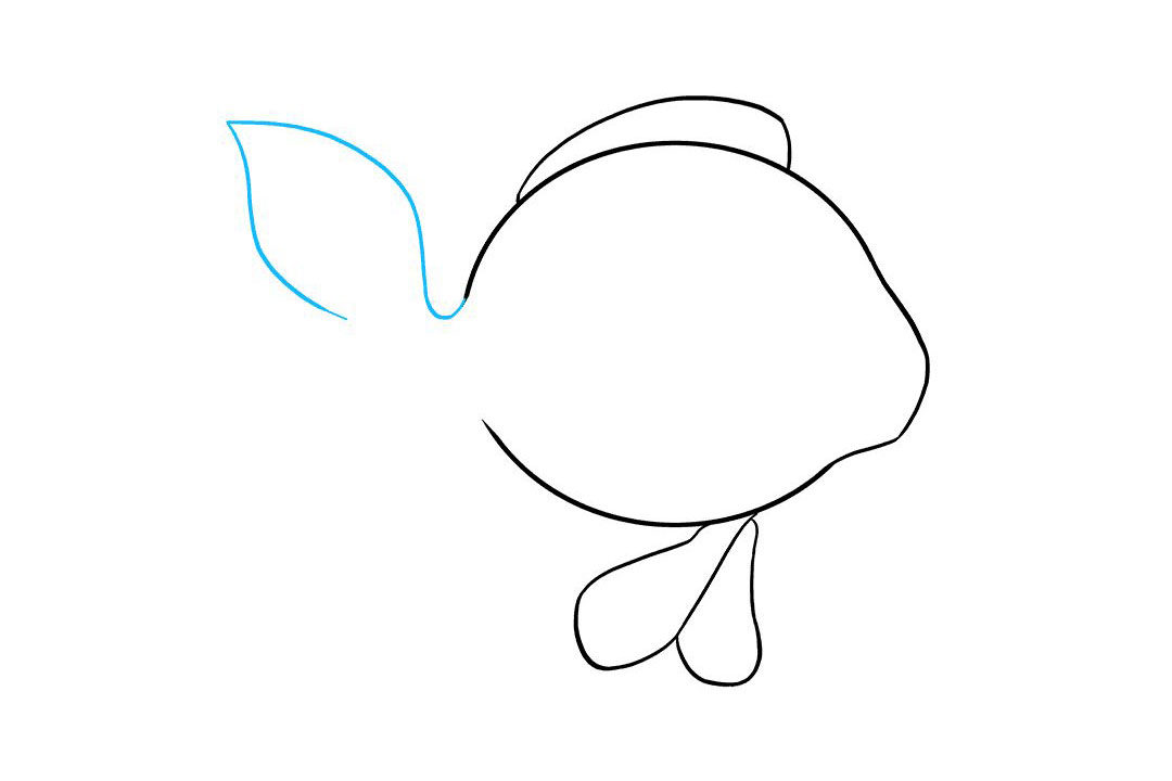 金鱼怎么画