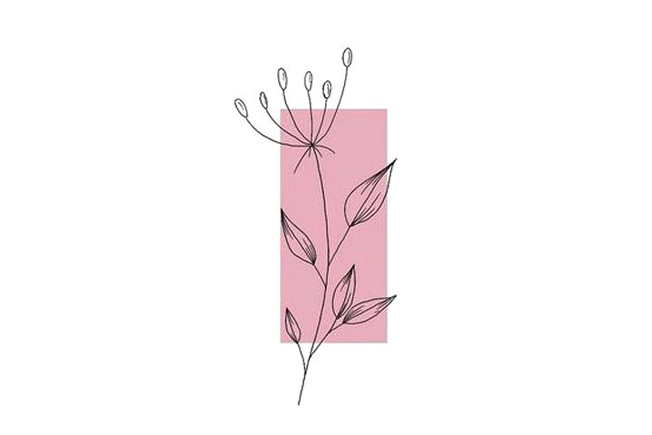 植物花草简笔画12种漂亮的小草简笔画图片