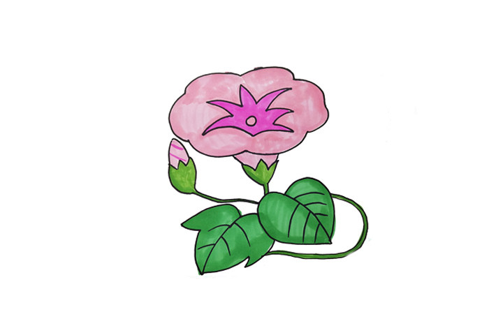 一组漂亮的花朵简笔画图片大全