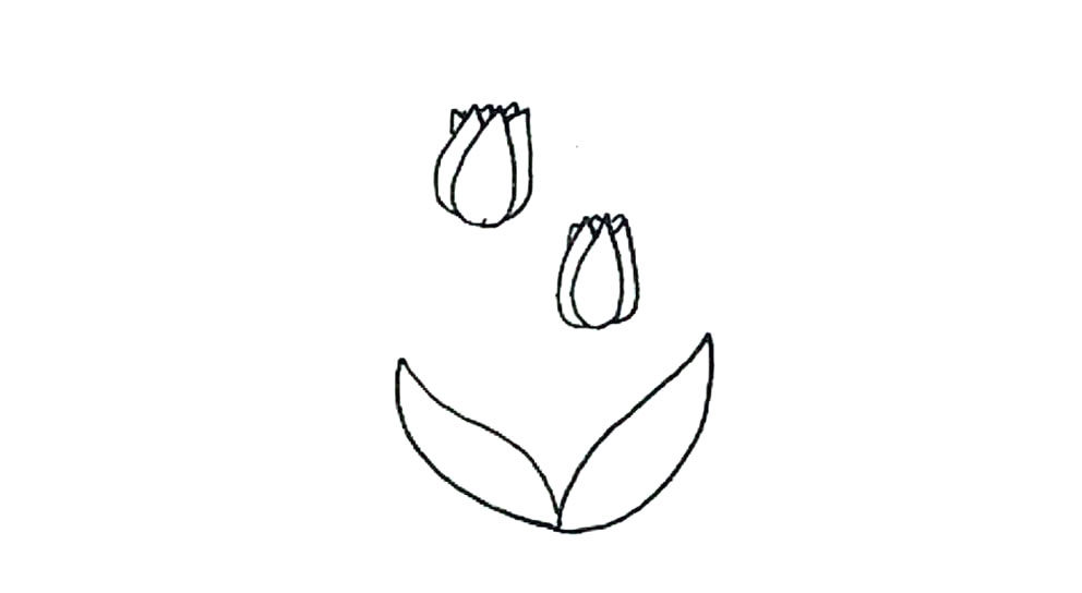 郁金香简笔画步骤图解