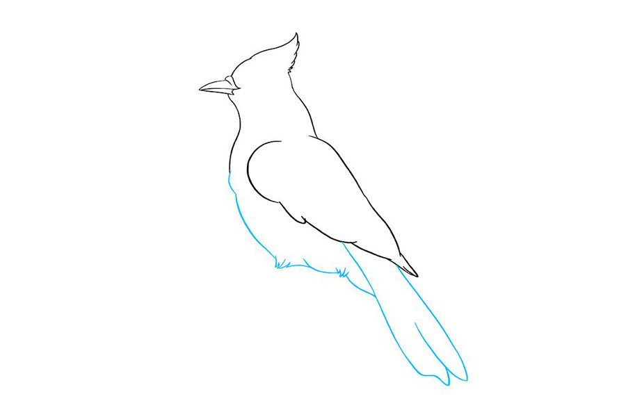 如何画蓝鸦