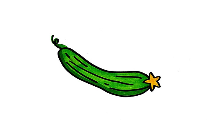 蔬菜简笔画大全 丝瓜怎么画