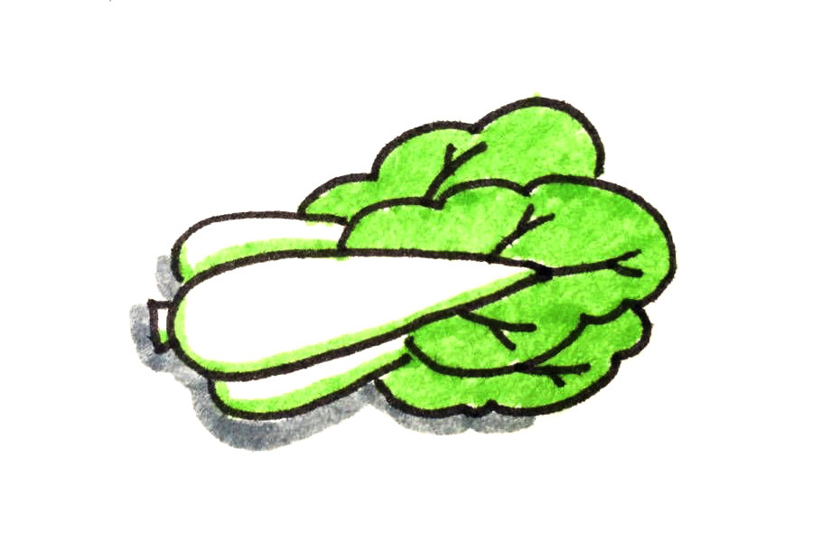 一组漂亮的蔬菜简笔画图片