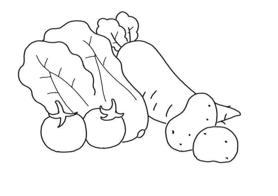 美味又健康的蔬菜简笔画