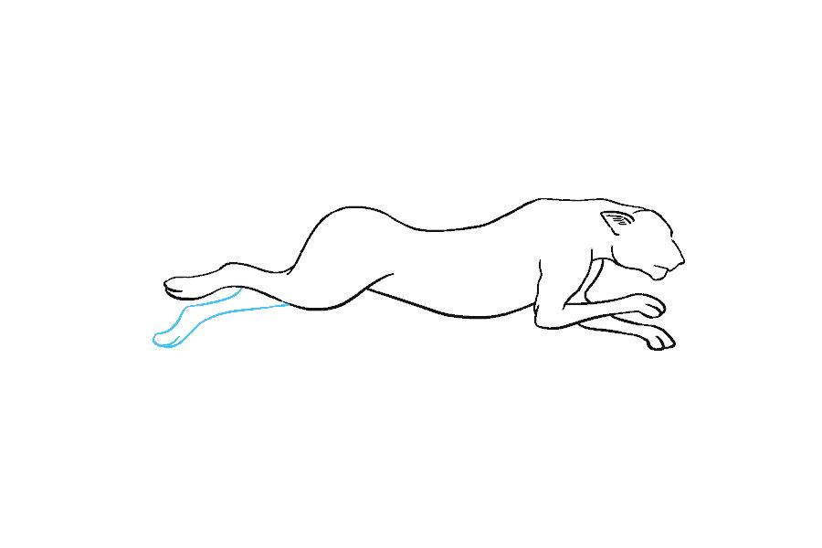 如何画猎豹