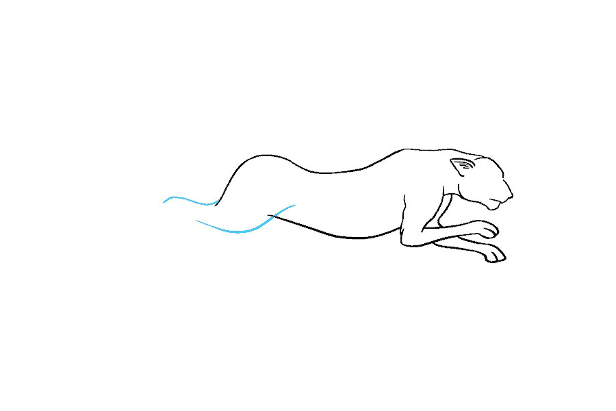如何画猎豹