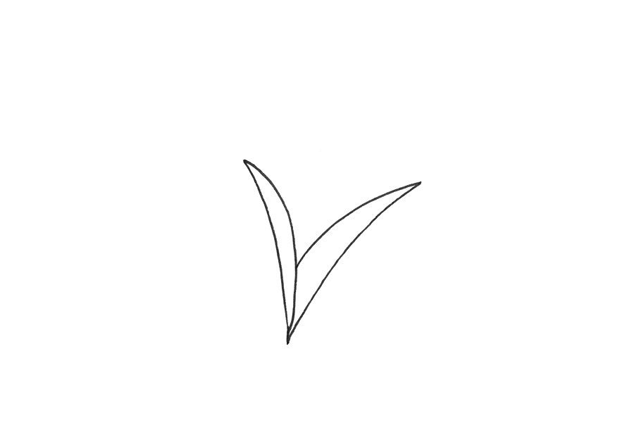 小麦怎么画