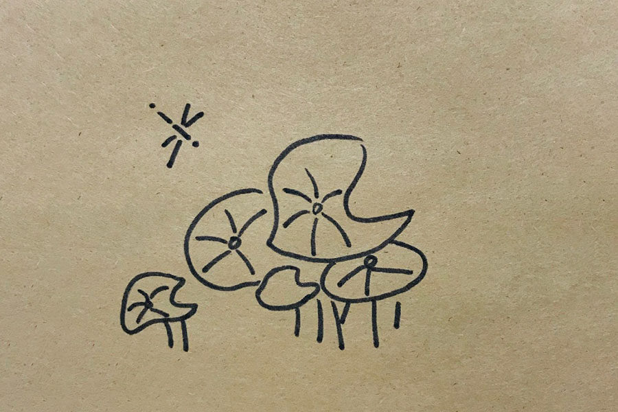 荷叶田田青照水 荷塘风景简笔画图片