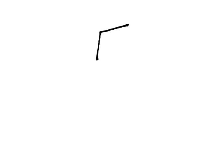 椰子简笔画画法步骤