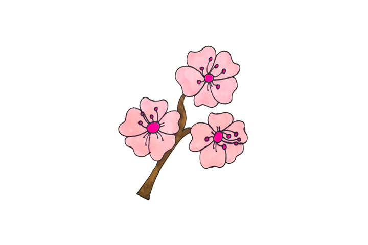 一组漂亮的花朵简笔画图片大全