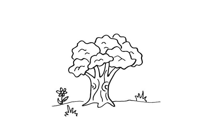 春天的大树简笔画教程
