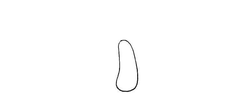 漂亮的蘑菇简笔画画法