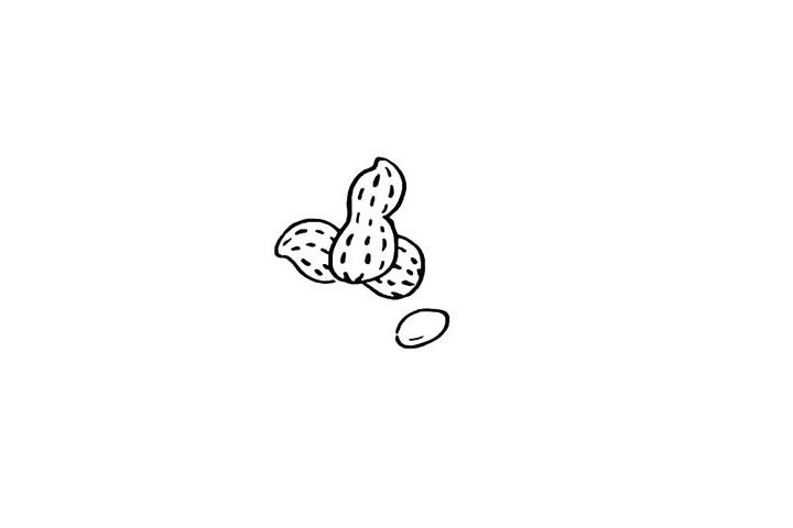 花生简笔画画法步骤