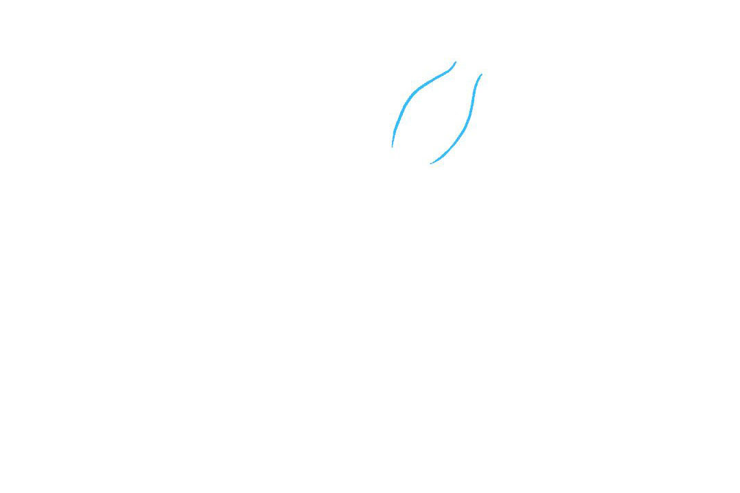 鱿鱼怎么画