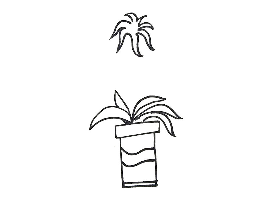 漂亮的植物盆栽简笔画