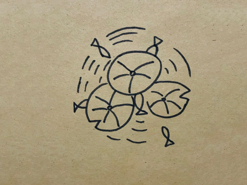 荷叶风景简笔画图片