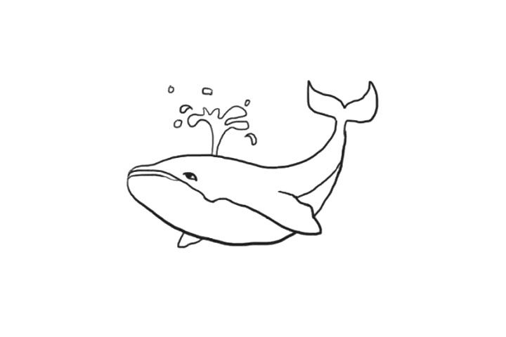 海洋生物鲸鱼简笔画画法步骤
