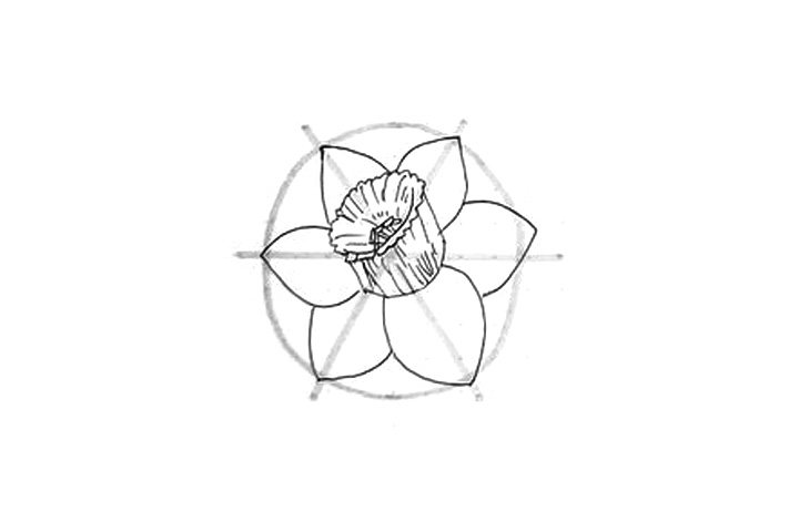 详细花朵绘画步骤 水仙花花朵简笔画画法