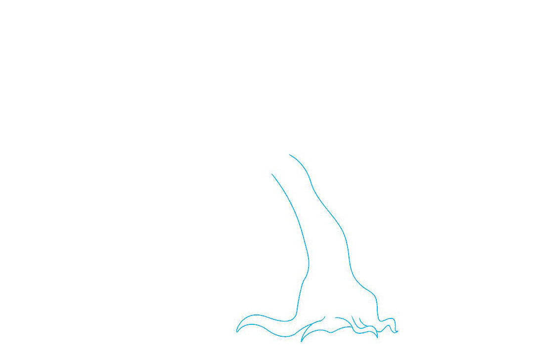 画枯树的简笔画教程