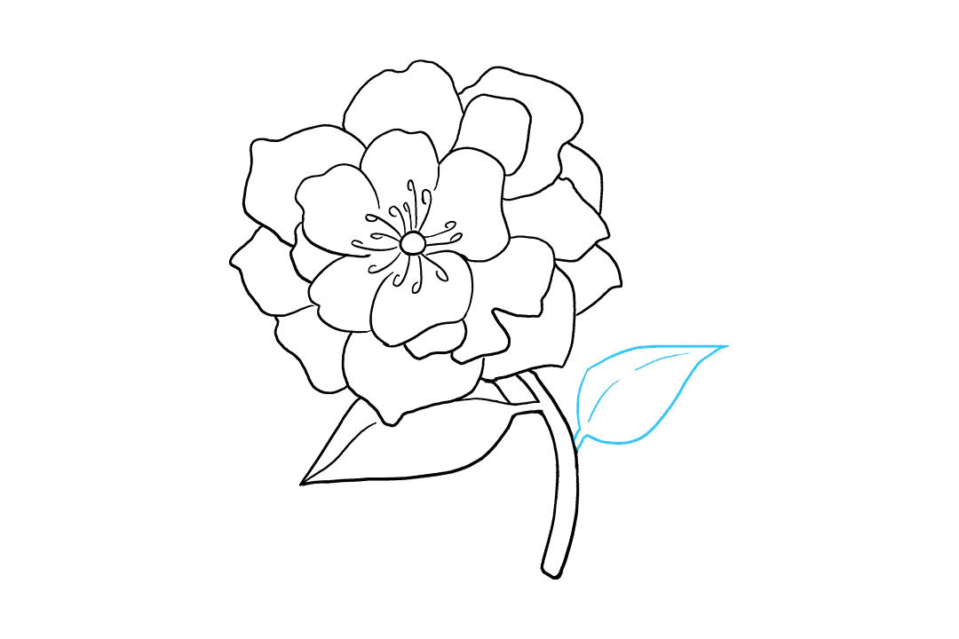牡丹花怎么画