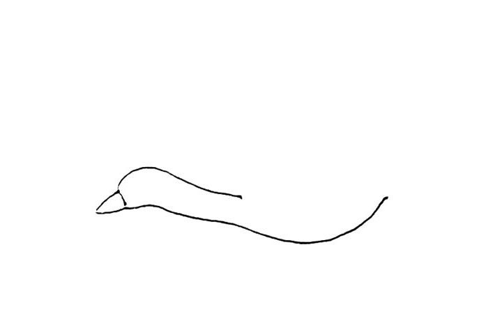 大雁简笔画画法教程