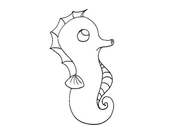 海马简笔画教程