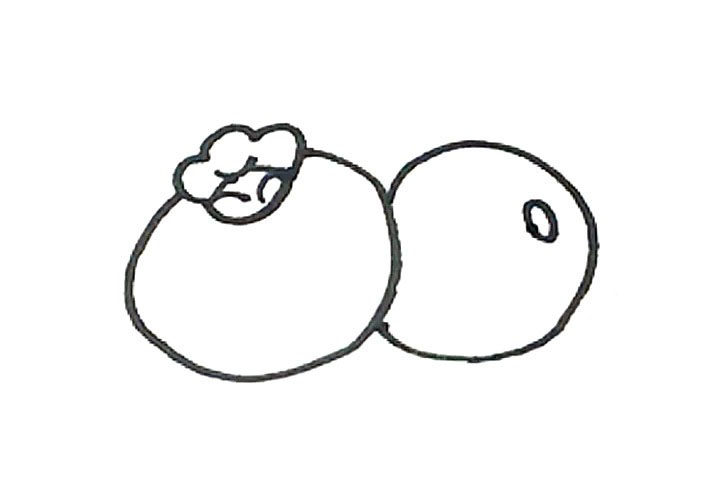 蓝莓简笔画画法教程