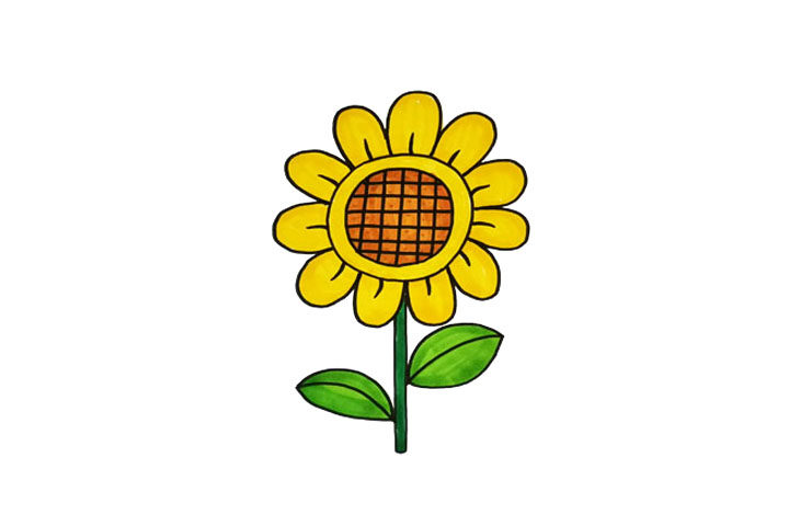 一组漂亮的花朵简笔画图片大全