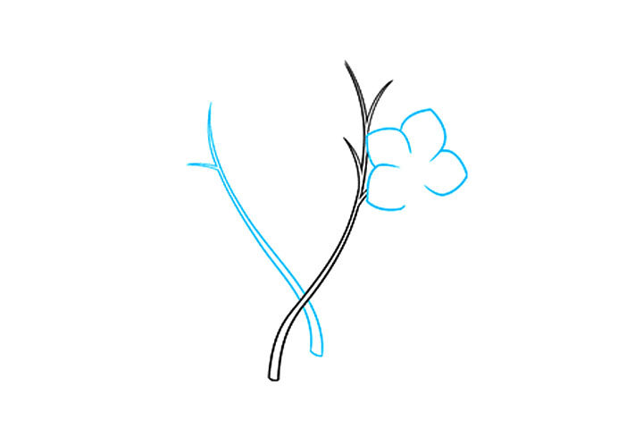 如何画勿忘我花