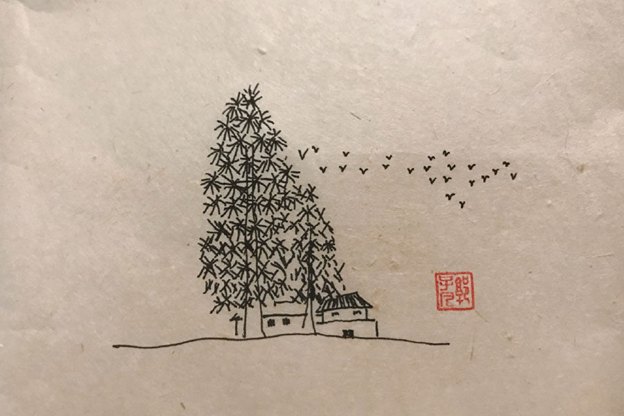 树林风景简笔画图片