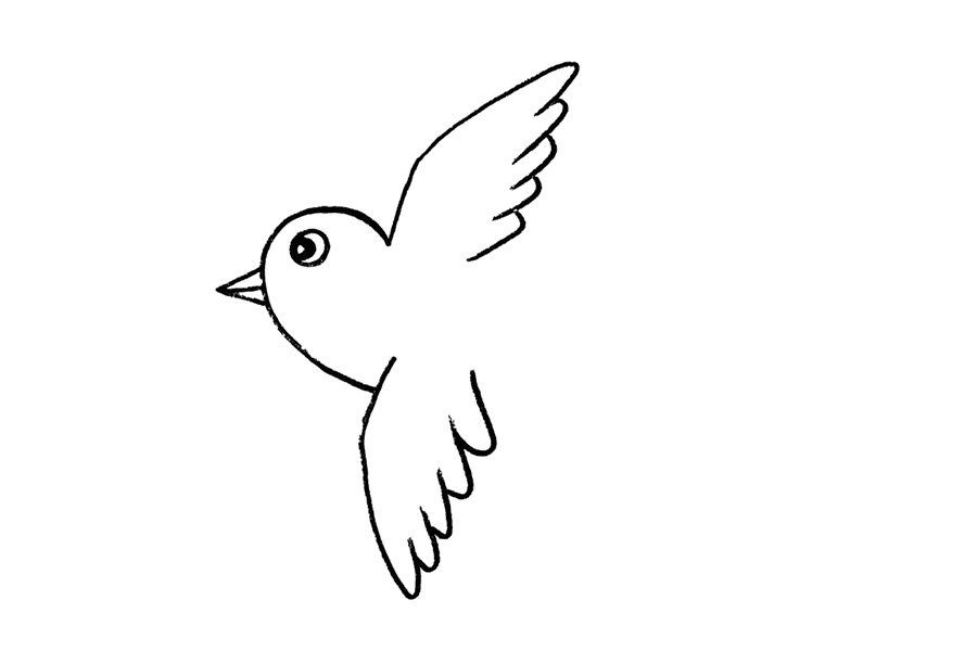 春天的燕子简笔画画法步骤