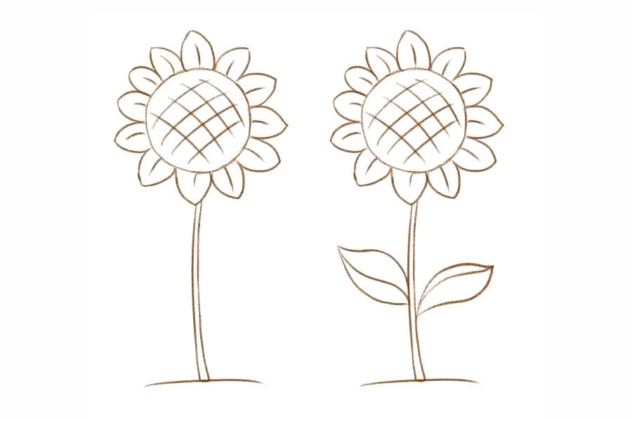 美丽的向日葵花简笔画